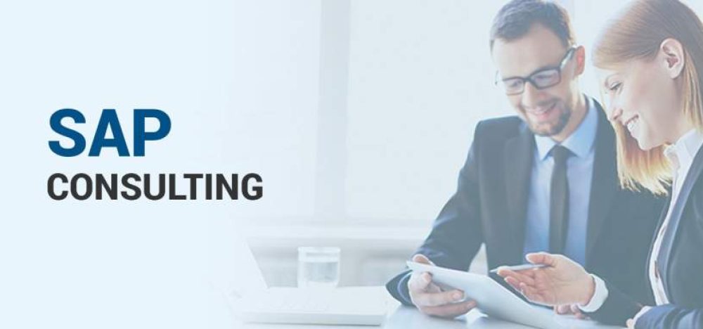 sap consultant